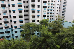 Blk 683A Choa Chu Kang Crescent (Choa Chu Kang), HDB 5 Rooms #158626862